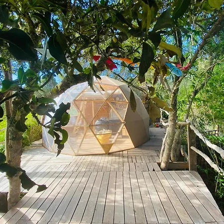 Eco-resort Domo Maestra Los Llanos (Tenerife)
